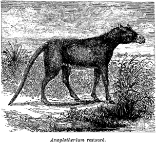 Illustration for article titled Strange 19th Century Drawings of Dinosaurs and Other Extinct Animals